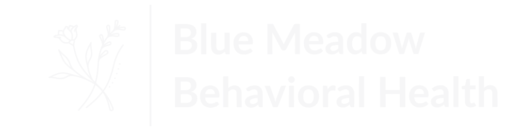 Blue Meadow Behavioral Health 